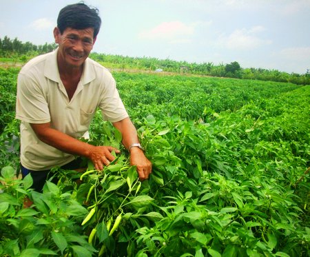 Làm theo Bác, đẩy mạnh phong trào nông dân sản xuất, kinh doanh giỏi
